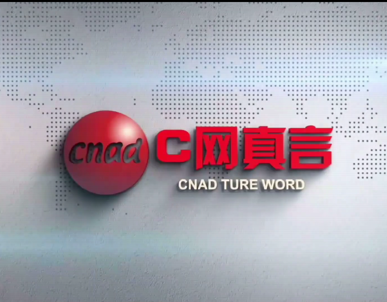 C網真言第十三期